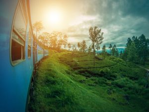 sri lanka train tea plantations travel destination
