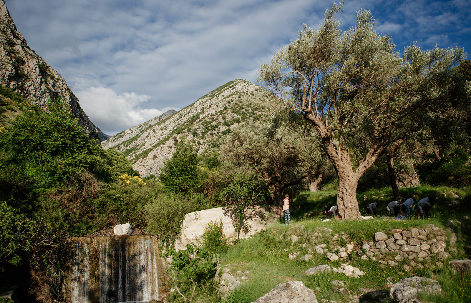 view of waterfall olive tree and outdoor yoga space - yoga holiday montenegro