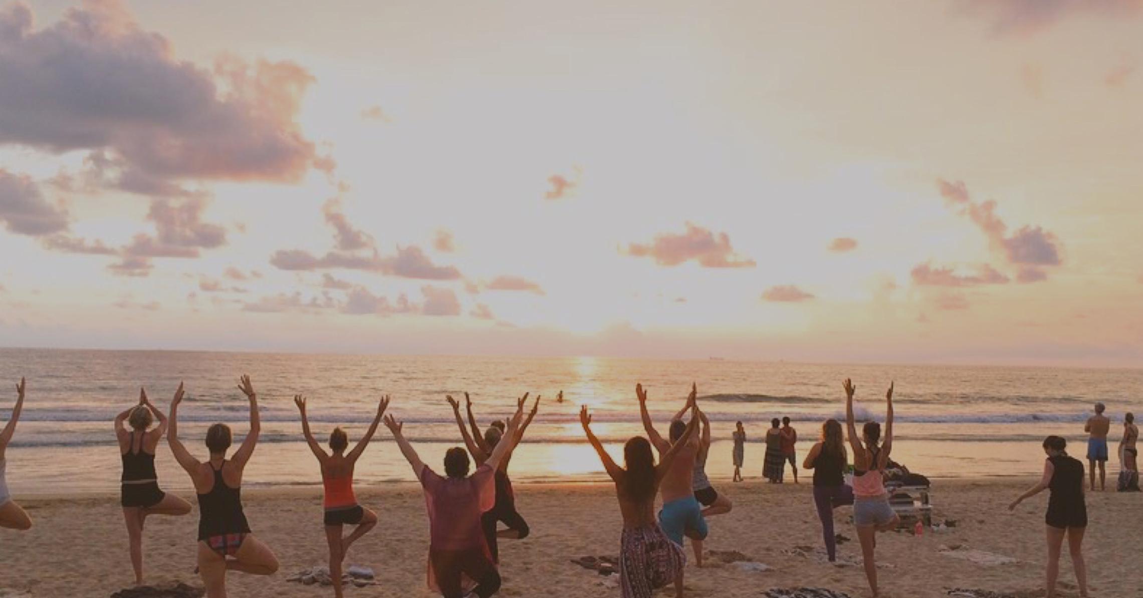 Morning Yoga Flow for Beginners [Video] | Adventure Yogi