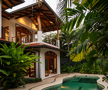 outside-of-house-pool-palm-trees