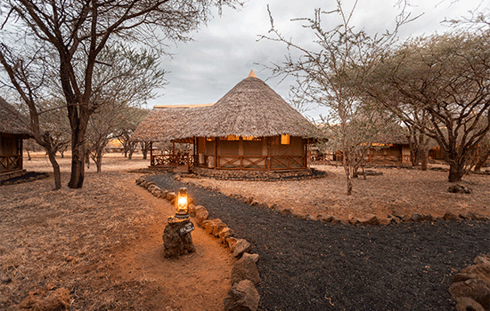 safari-tent