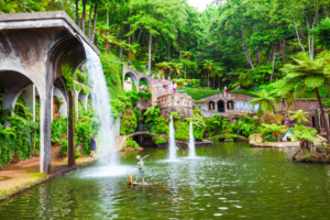 tropical garden with plants