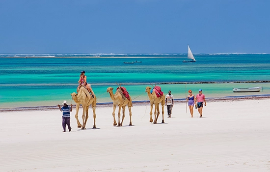 camel-rides-beach