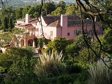 quinta in sintra forest view