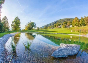 outdoor natural pool reflecting trees and hills in slovenia