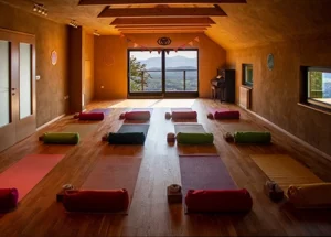 wooden yoga studio with views of slovenia mountains