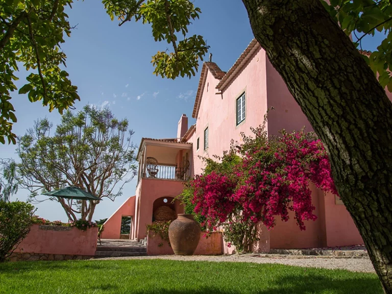 pink villa with pink flowers