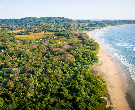 nosara beach and jungle aerial view