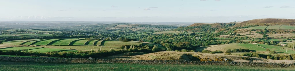 views of the fields in the sussex countryside
